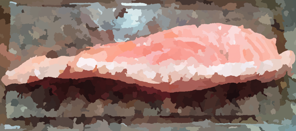 salmon2