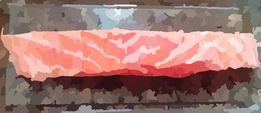 salmon3