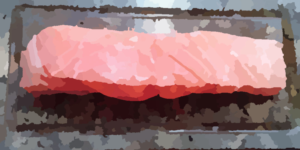 salmon4